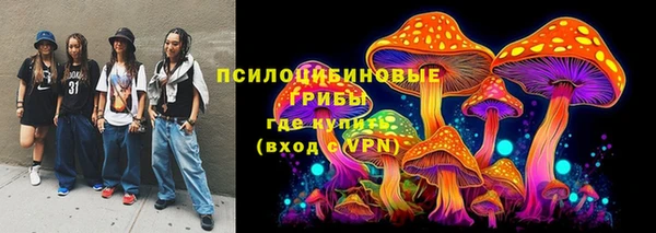 а пвп мука Аркадак