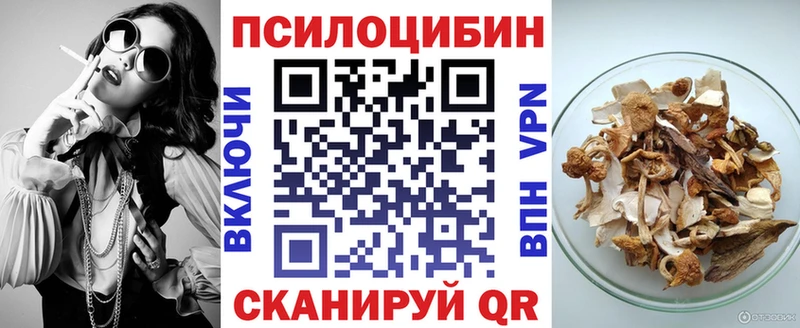 купить закладку Сланцы Псилоцибиновые грибы Cubensis